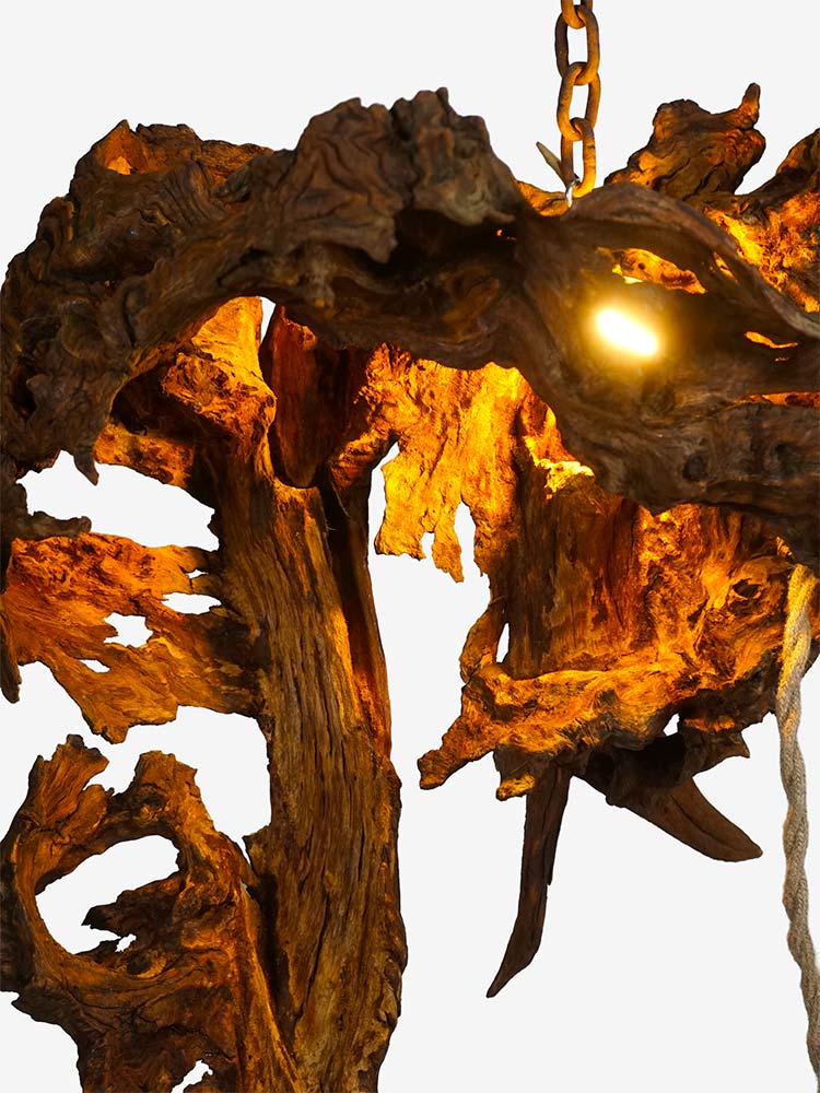 Lampada artigianale sospesa realizzata con radice naturale e struttura in ferro curvato, design unico fatto a mano in Italia.